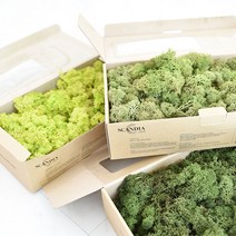 공기정화 스칸디아 모스 천연이끼 500g DIY 2가지 색상 혼합 가능 BEST 14color, 모스그린, 레드