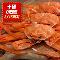 [+덤 이벤트] *박달급* 프리미엄 상급 후포리 홍게 수율보장 85%이상 2kg 3kg 5kg 당일자숙, 5kg 13마리 + [이벤트 덤 2마리]
