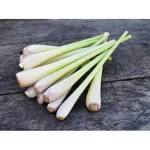 베트남식품 레몬그라스 Lemongrass Xa tuoi 박스 1kg ~10kg