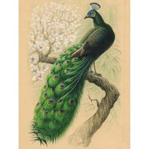 17종 DIY피포페인팅 행운과 부를 상징 청공작새 명화 색칠하기 부귀 금전운 가져다주는 풍수 유화그리기 집중력향상 집들이 개업선물 액자프레인포함 40*50CM, 일러스트그리기16번