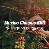 감탄커피 1kg 멕시코 치아파스 SHG 원두커피 싱글오리진 HACCP 당일로스팅 햇생두 뉴크롭, 드립용 및 커피메이커용 분쇄