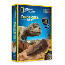 공룡 이빨 화석 발굴 캐기 키트 초등학교 과학 교실 저학년 8살 방과후수업 명절