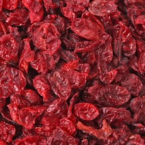 동의한재 특등급 씨없는 햇 구례 건산수유 말린산수유 500g, 1개