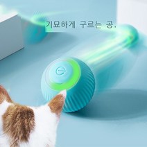 고양이 전기 볼 롤링USB보습 용 자동 고양이 장난감에서 고양이를 놀려 지루함 애완 동물 제품 도매짭새캐치미이프유캔, 개와 고양이 보편적 인, 롤링 볼-파란색