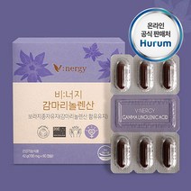 비너지 감마리놀렌산 보라지꽃 달맞이꽃 종자유 보라지유 파아란마을, 비너지 감마리놀렌산 1통, 1개