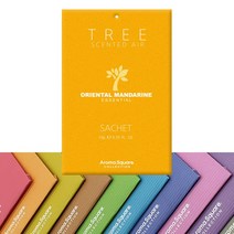 인터바겐 아로마스퀘어 사쉐 트리 방향제 옷장 실내 차량용 걸이형 행낭 디퓨저, 오리엔탈 만다린 S(10g), 1개