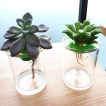 수경재배화분(흙/원형/새싹마늘) 수경재배기 인테리어효과 관찰학습, 수경흙화분