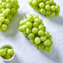 미자가게 고당도 청도반시 5kg 청도감 연시, 청도반시 5kg(51-55과), 1개