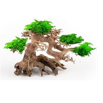 모스트리 수초 확찰 분재 유목 인테리어 수조장식