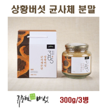 상황버섯 균사체 분말 가루 상황버섯차 목질진흙버섯 베타글루칸 뽕나무 국산 상황버섯물 효능 먹는방법 면역력, 300g, 3병