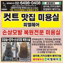 피엘헤어 여성 커트+아쿠아헤드스파+두피스켈링 타미용실포기 극손상모발복원클리닉 서울미용실, 여성 커트+헤드스파 스켈링