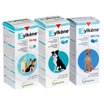 질켄 강아지 스트레스 해소 완화 영양제 소형견 중형견 대형견 베토퀴놀 반려동물, 450mg