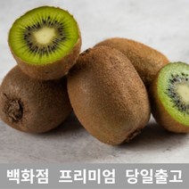 과일 (특등급) 오늘출고 그린키위5KG 그린키위 키위효능 키위농장 [WBB6638], 쿠팡 5KG, 쿠팡 본상품선택