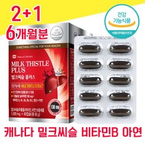 식약청 식약처 인증 인정 캐나다 밀크씨슬 밀크시슬 미크시슬 밀크시술 실리마린 추출물 아연 엽산 비타민 A B 간 건강 좋은 음식 남성 남자 여성 여자 40대 60대 50대 피로회복, 2+1 6개월분 - 다니마켓