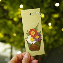 체크스토리 압화책갈피 컬러색지 1인세트, 선택:락스퍼+풍선덩쿨, 단품