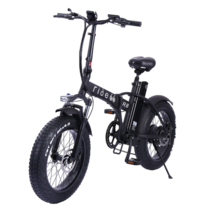 전기 자전거 20 인치 eBike snowbike 48V 15AH 리튬 배터리 숨겨진 성인 통근 자전거 전기 자전거, 블랙 -R8, 중국