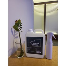 바른하나 피톤치드 편백수 2L. 안개분사 스프레이 300ml 공병증정, 2L