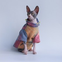 고양이 전용 옷 따뜻한 양모 넥타이 염색 까마귀 봄 가을 사나이 스웨터 스핑크스 코트 유행 새끼 잘 생긴 재킷 귀여운