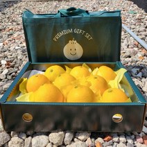 [백화점납품] 제주 황금향 선물세트 고당도 가정용 제주도 3kg 5kg 10kg, 선물용 5kg(박스포장 + 선물용가방)