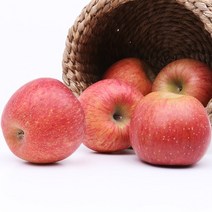 부사 사과 10kg 팔팔마켓 국산 못난이 흠집 기스 사과