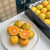 고당도 제주 하우스 감귤, 5kg (대과 가정용), 1개