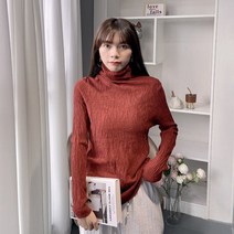 DFMEI 터틀넥 스웨터 바닥 셔츠 여성용 가을과 겨울 니트웨어