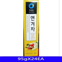 향신료 조제품 연겨자 음식재료 대상 95gX24EA