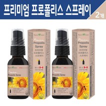 프리미엄 프로폴리스 스프레이 뿌리는 구강 항균 액상 원액 추출물 항산화 영양제 먹는 비프로폴리스 고함량 플라보노이드, 팜그린 프리미엄 프로폴리스 스프레이 30ml, 2세트