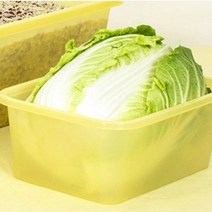 유정랩 신선유지용기 직사각형 5L (2P) 레몬박스 빅박스 과일 야채 보관 그린박스 그린백