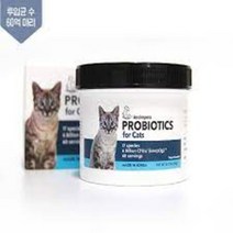 안심펫 프리미엄 고양이 프로바이오틱스 유산균 2개월분 헤어볼 장건강 변비 설사(상품정리)23년 5월1일까지, 단품