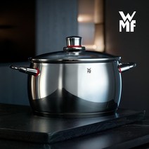 WMF냄비 스텐 스테인레스 인덕션 냄비 독일 명품 수입 냄비, 20cm(양수냄비)