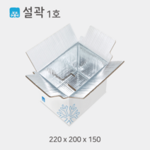 설곽 종이 아이스박스 1호 20개입, 20개