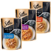 쉬바 수제수프 파우치 40g 3종맛보기세트 (3종각1개씩)