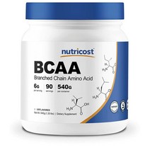 뉴트리코스트 BCAA 헬스부스터 L 엘 류신 540g, 1개