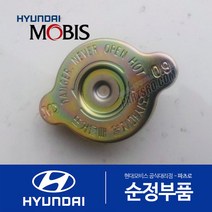갤로퍼 순정 라디에이터 캡 뚜껑