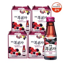 광동 복분자 100ml 20입(선물용) X 4박스, 단품, 단품없음