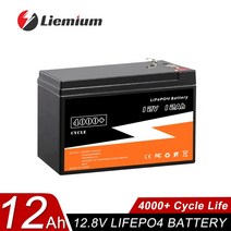대용량 인산철 배터리 리튬 캠핑카 낚시 스쿠터용 딥 사이클 내장 세금 신제품 12V 24V 150AH 200AH, 2.12V 12AH-P