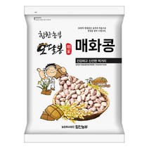 힘찬농부오달봉 수입 매화콩 호랑이콩 강낭콩 울타리콩 새알콩 제비콩, 1포, 수입매화콩1kg