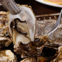 당일배송 통영 세척 석화 굴 5kg 10kg 하프셀 가리비, 1-1. 석화 5kg