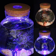 LED 코르크 유리병 코르크마개병 병도매 코르크용기