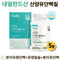산양유 단백질 분말 파우더 프로틴 30정 정제형 산양초유 유청 단백 칼슘 WPI 퀄리고트 HACCP 인증, 5통