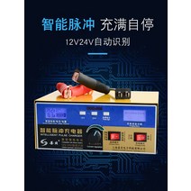 24축 12V 적합사용 볼트 지능형 펄스 복원 전지 자동차배터리충전기, T01-배터리 충전기 1224V