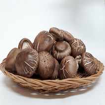 산지직송 무농약 생표고버섯 1kg, 동고4 1kg, 1개