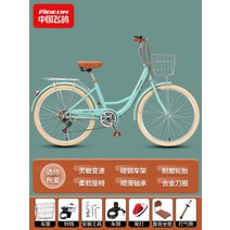 여성용 자전거 클래식 하이브리드바이크, 6단, 26인치, 그래스 그린 - 보조의자SF