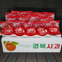 나인애플 가족/선물용 중대과 세척사과 3-10kg, 1)나인애플 세척사과 3kg