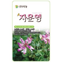 나팔꽃 6g - 야생화 씨앗 꽃씨 씨 꽃씨앗 나팔꽃씨앗 나팔꽃씨 야생화씨 야생화씨앗, 33_다농_자운영(2g)