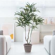 [쏘굿] BEST 생화같은 조화나무, 아랄리아 120cm, 1개