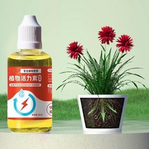 식물 성장 촉진제 보충제 발근 촉진 꽃 옥신 영양제 솔루션 50ml 바로, 03 6pcs