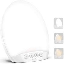 라이트 테라피 SMY LED 형광 램프는 10000 치료 밝은 조정 가능한 밝기, 1.WHITE
