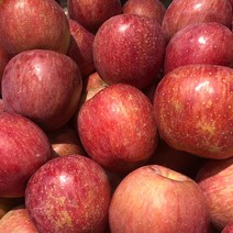 [아임애플X작은흠과] 못난이 보조개 맛있는 부사 안동 사과, 10kg(소/40~48과)
